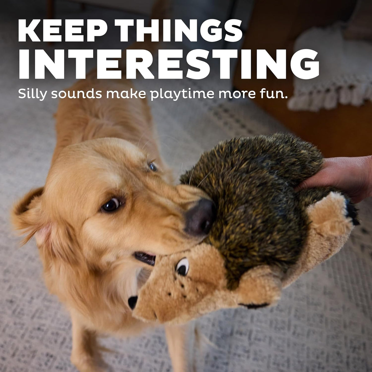 Outward Hound Hedgehogz Plush Dog Toy, Squeaks & Grunts, Large
