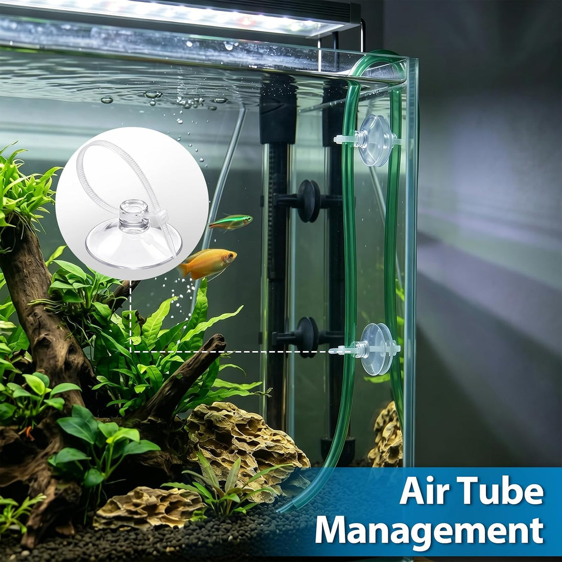 10 Pack Suction Cups with 10 Adjustable Zip Ties for Aquarium Fish