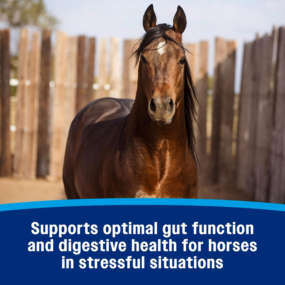 Farnam Gastric Health Pellets