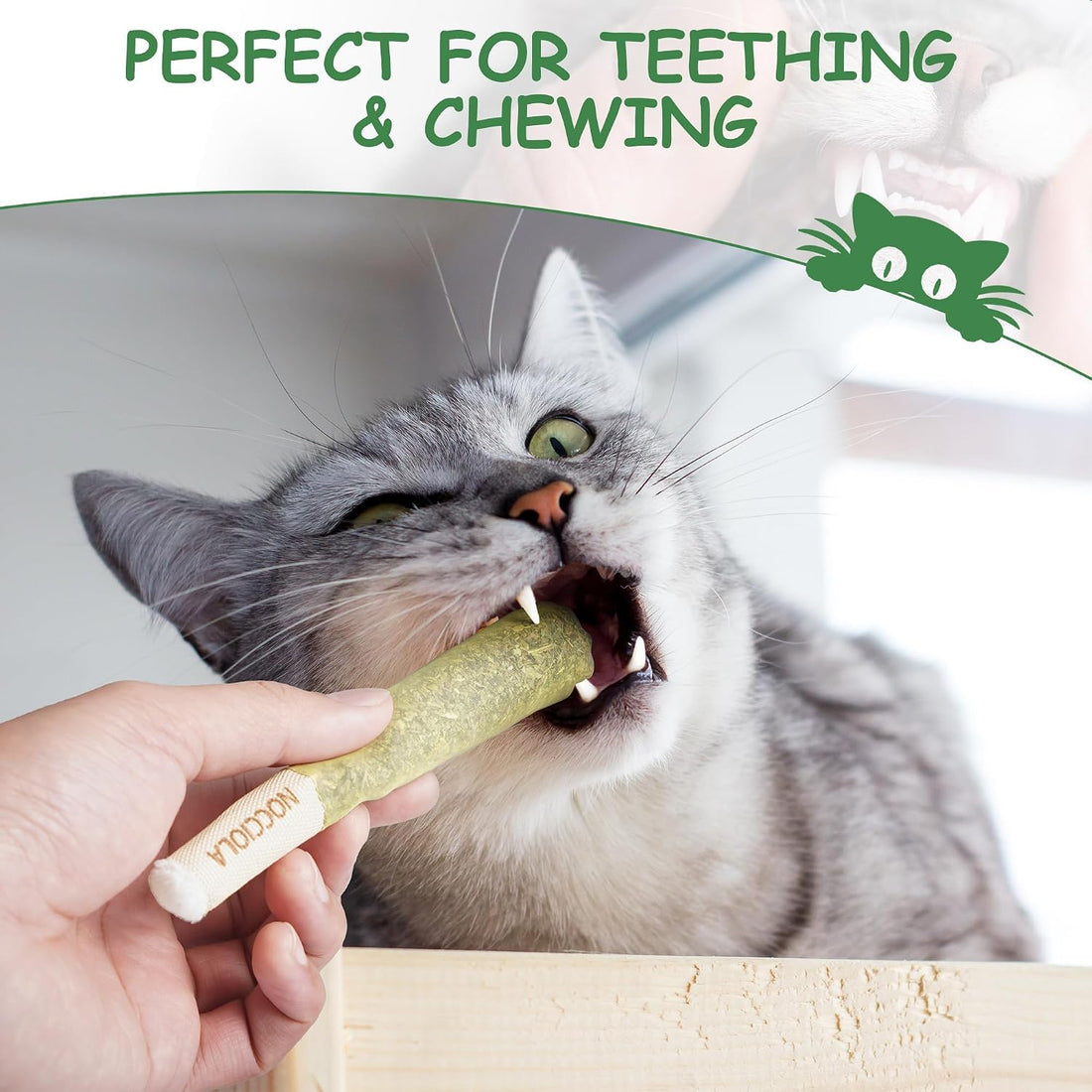 Nocciola 3 Pack Catnip Toys for Cats