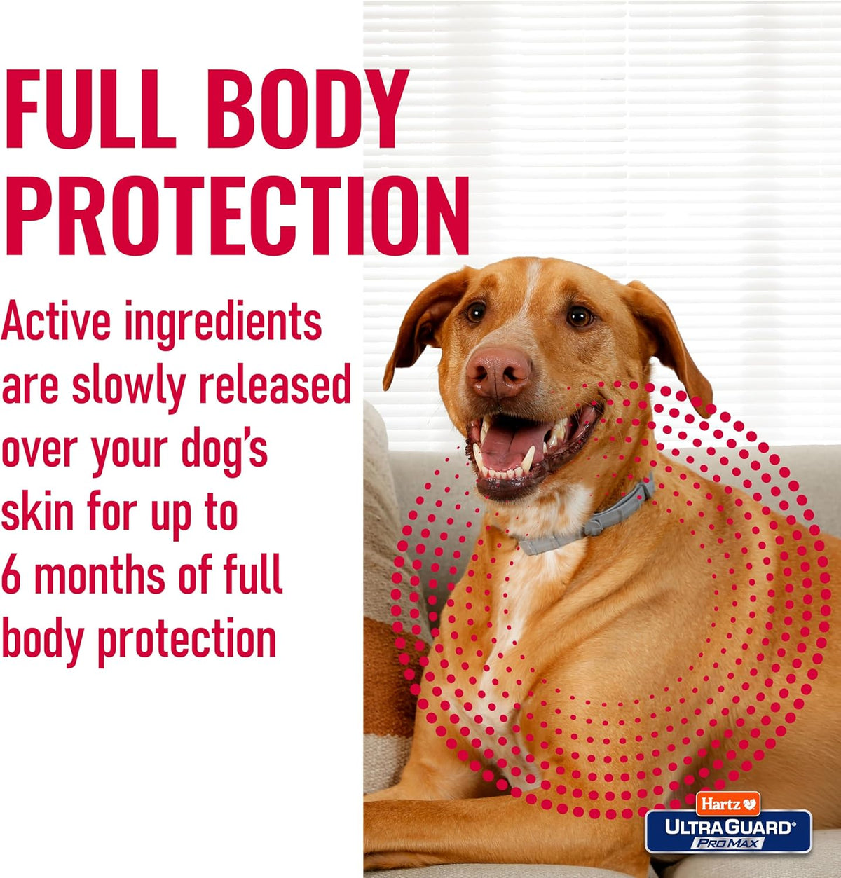 Hartz UltraGuard ProMax Flea & Tick Collar for Dogs I 12 Months