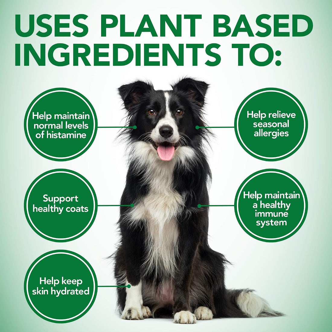 Vet's Best Healthy Coat Shed & Itch Relief Tablets for Allergies