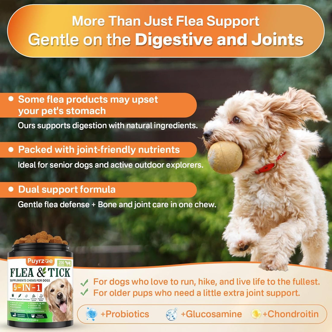 Puyrzoe 5-in-1 Dog Flea and Tick Treatment Chewable
