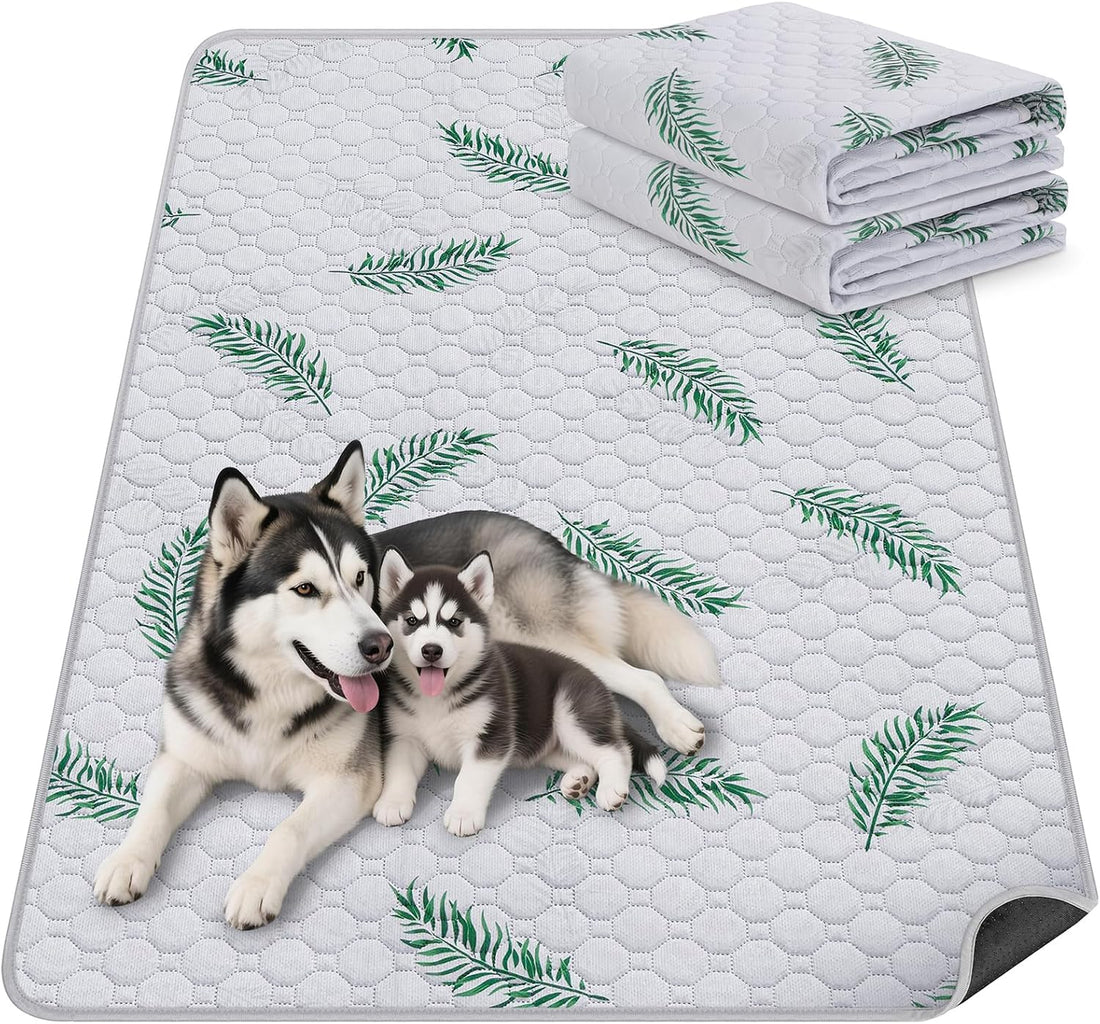 Washable Dog Pee Pads, Non-Slip Waterproof, 36 x 41 in, 2 Pack
