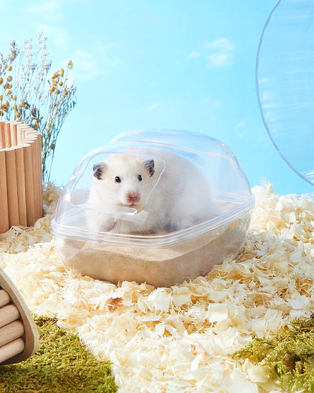 Hamster Bath Sand, 18oz Natural Desert Sand for Gerbil & Syrian Mice