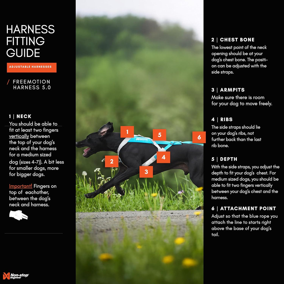 Non-stop dogwear Freemotion Harness 5.0 Dog Pulling Harness
