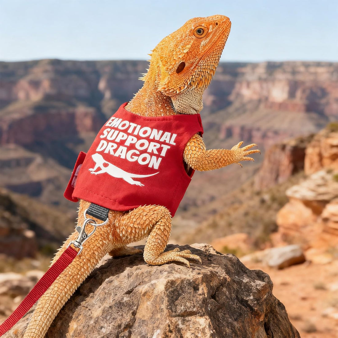 Bearded Dragon Harness and Leash Set Adjustable Lizard Harness