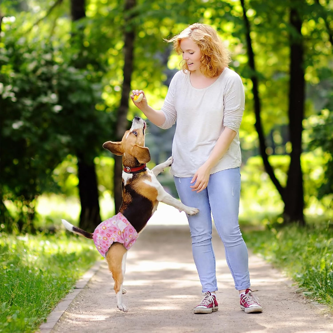 Pet Soft Dog Diapers Female, Disposable Female Dog Diaper
