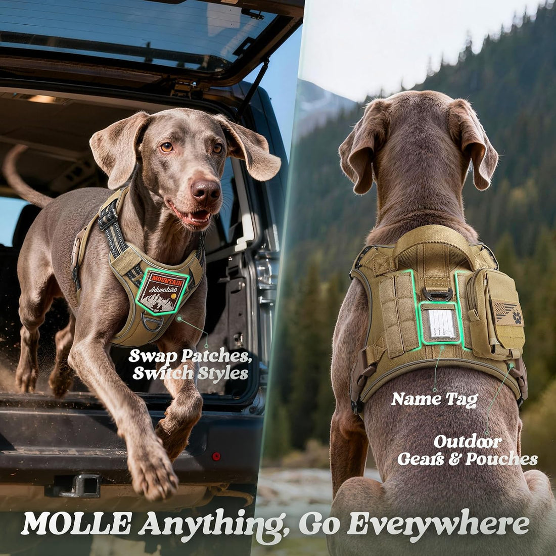 rabbitgoo Tactical Dog Harness for Large Dogs