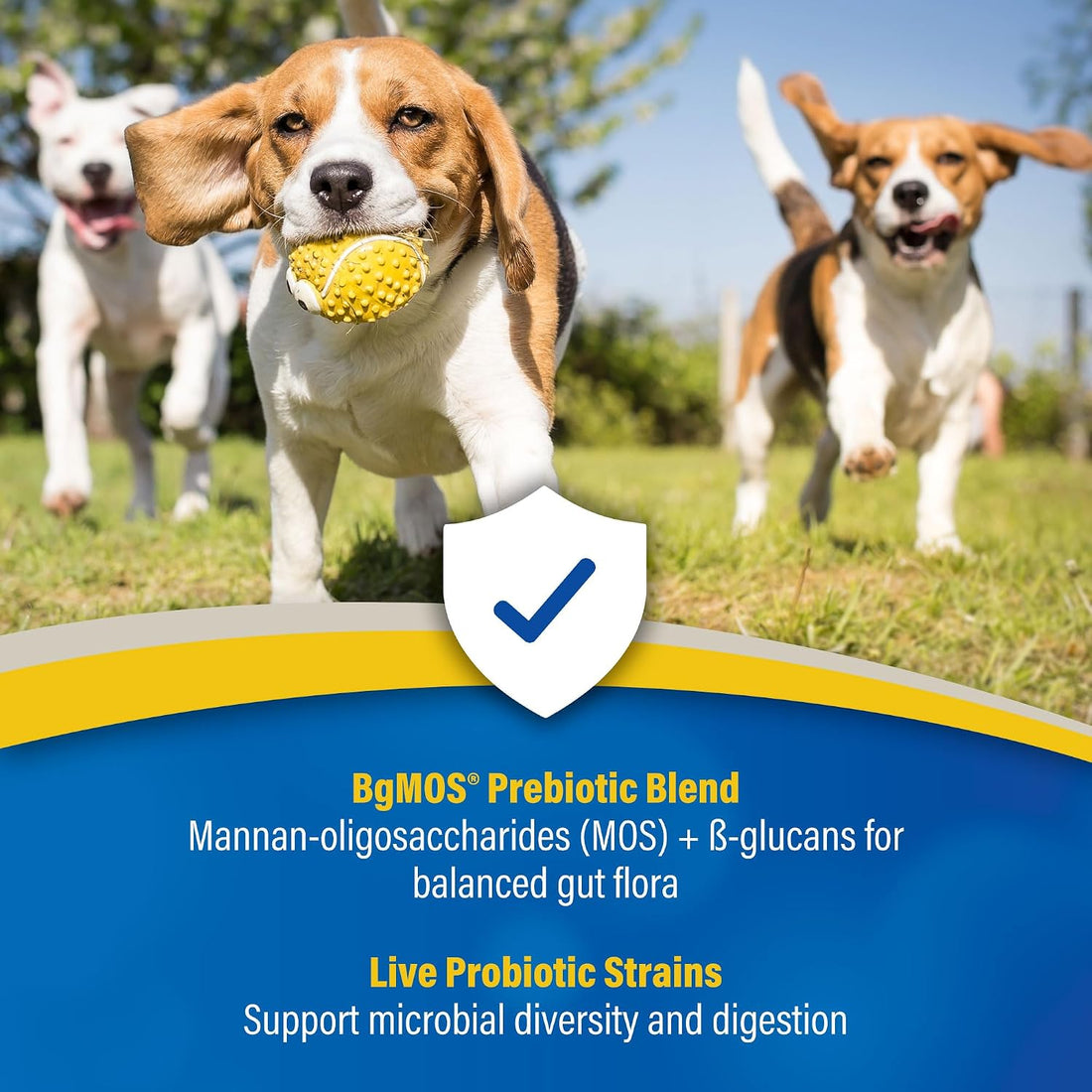 Doc Roy's GI Synbiotics Prebiotic & Probiotic Granules for Dogs & Cat