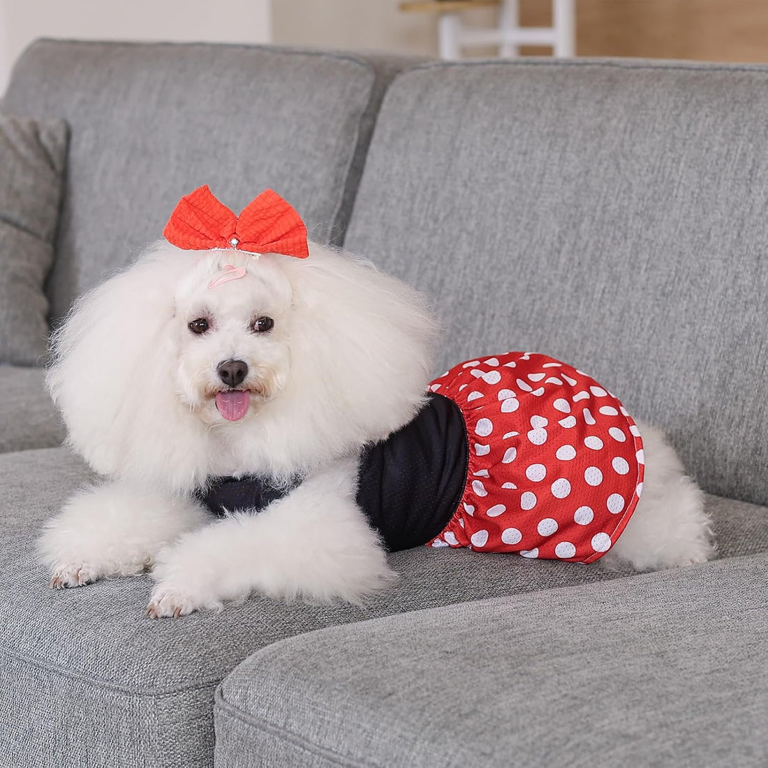 CuteBone Dog Mesh Dress Puppy Sundress Pet Outfit Summer Fashion