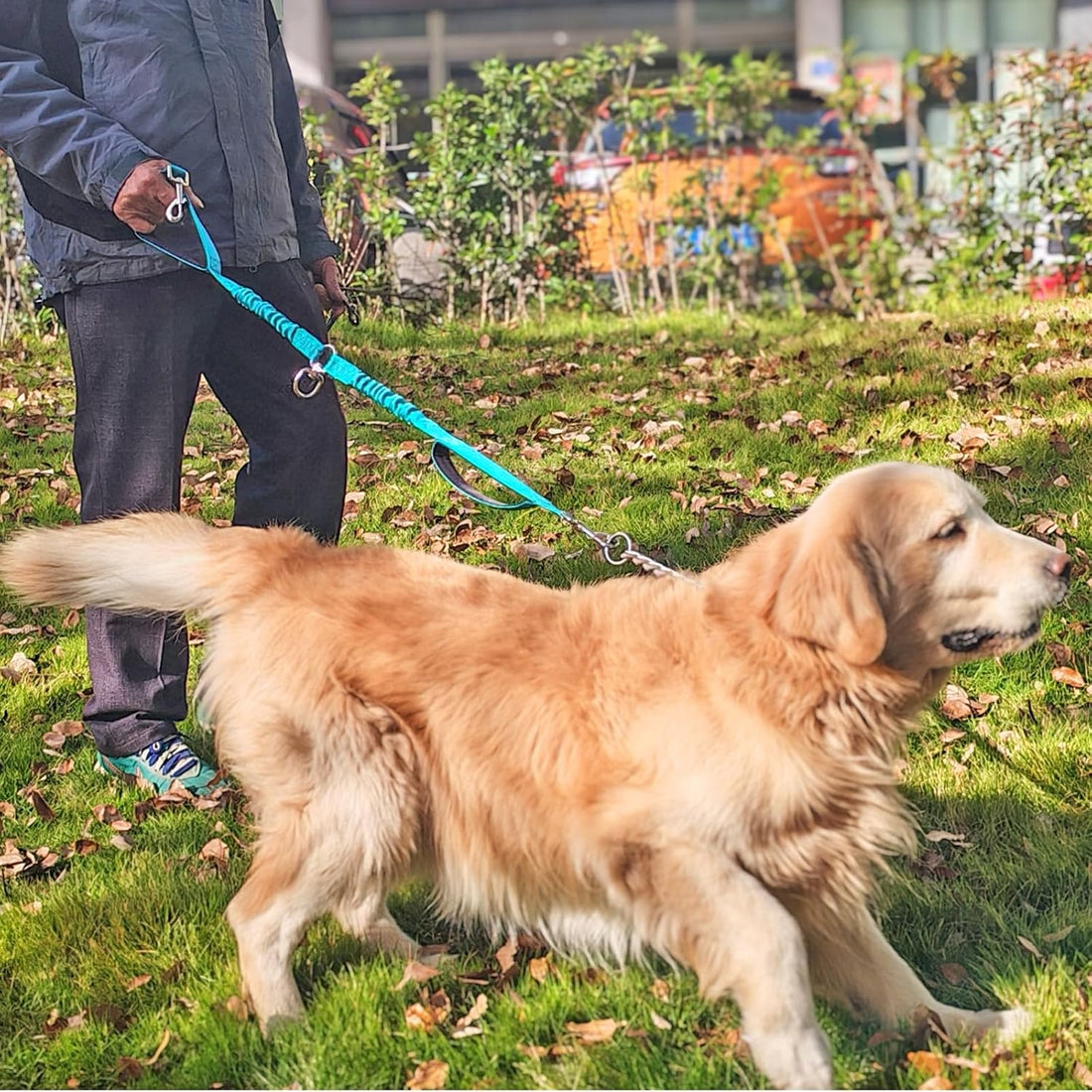 Mycicy Dual Dog Leash Coupler