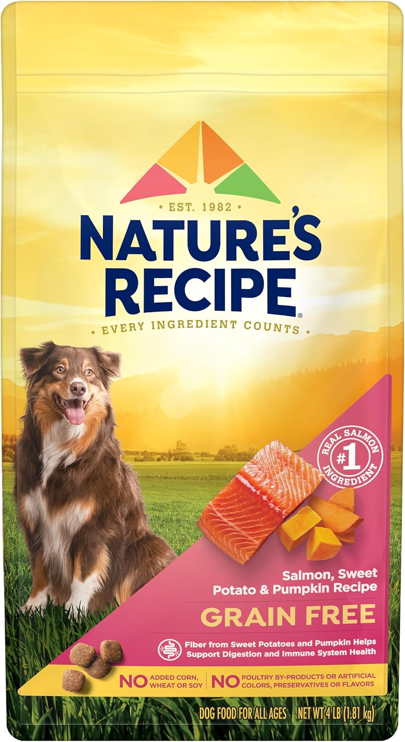 Nature's Recipe Grain Free Dry Dog Food, Salmon
