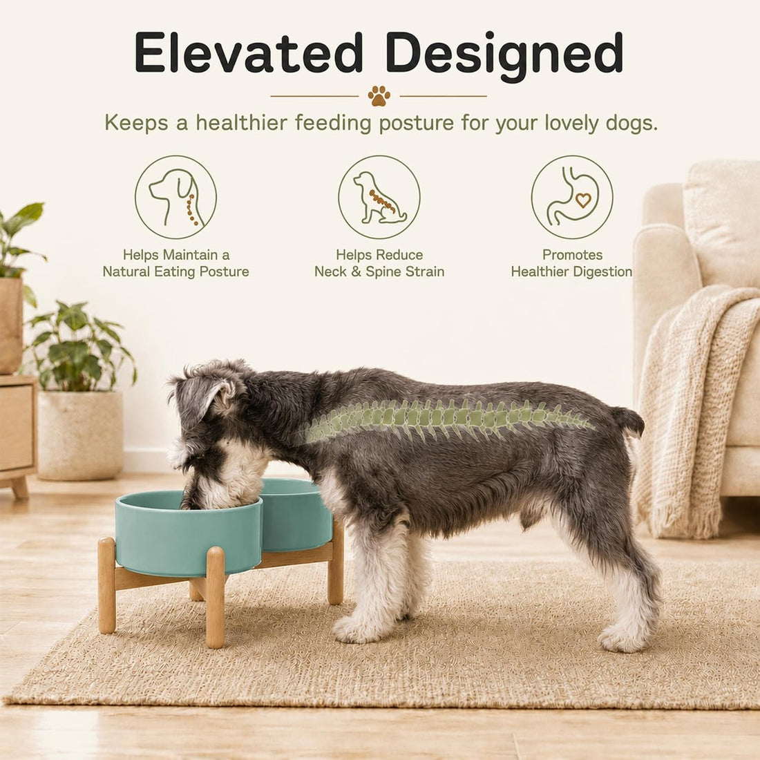 Havniva 6.1inch Ceramic Raised Dog Bowl with Stand