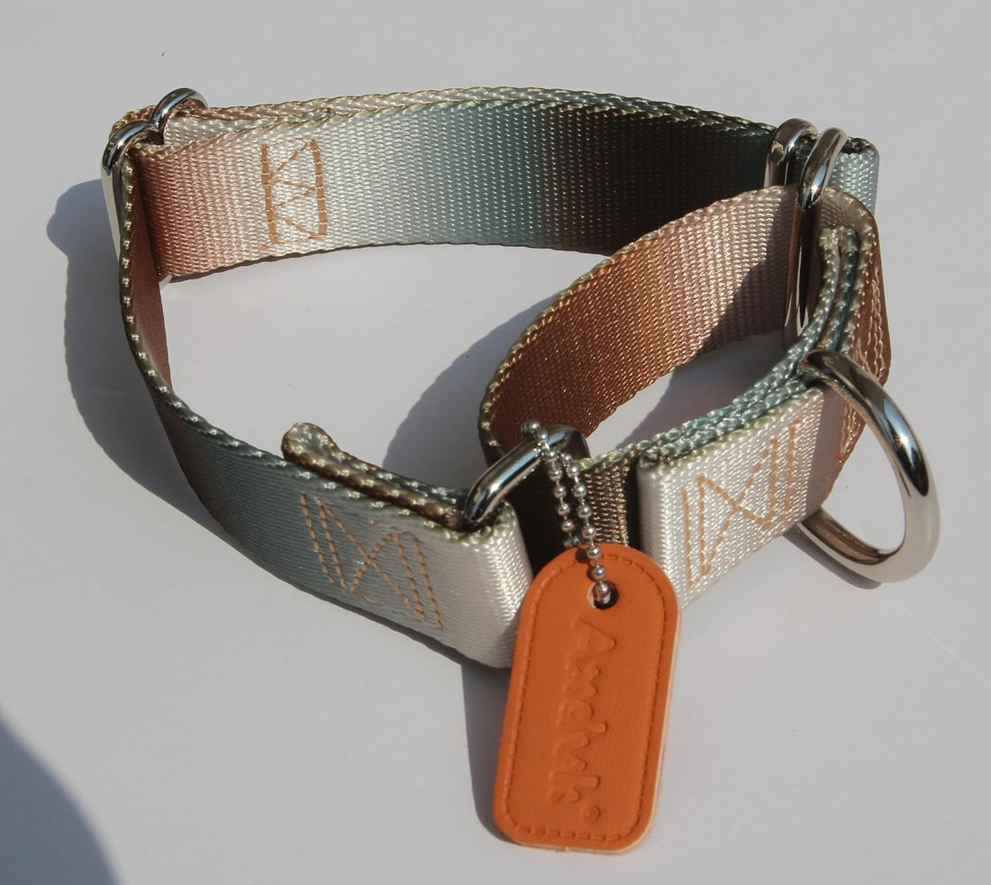 Martingale Dog Collar Colorful Gradient Fashionable