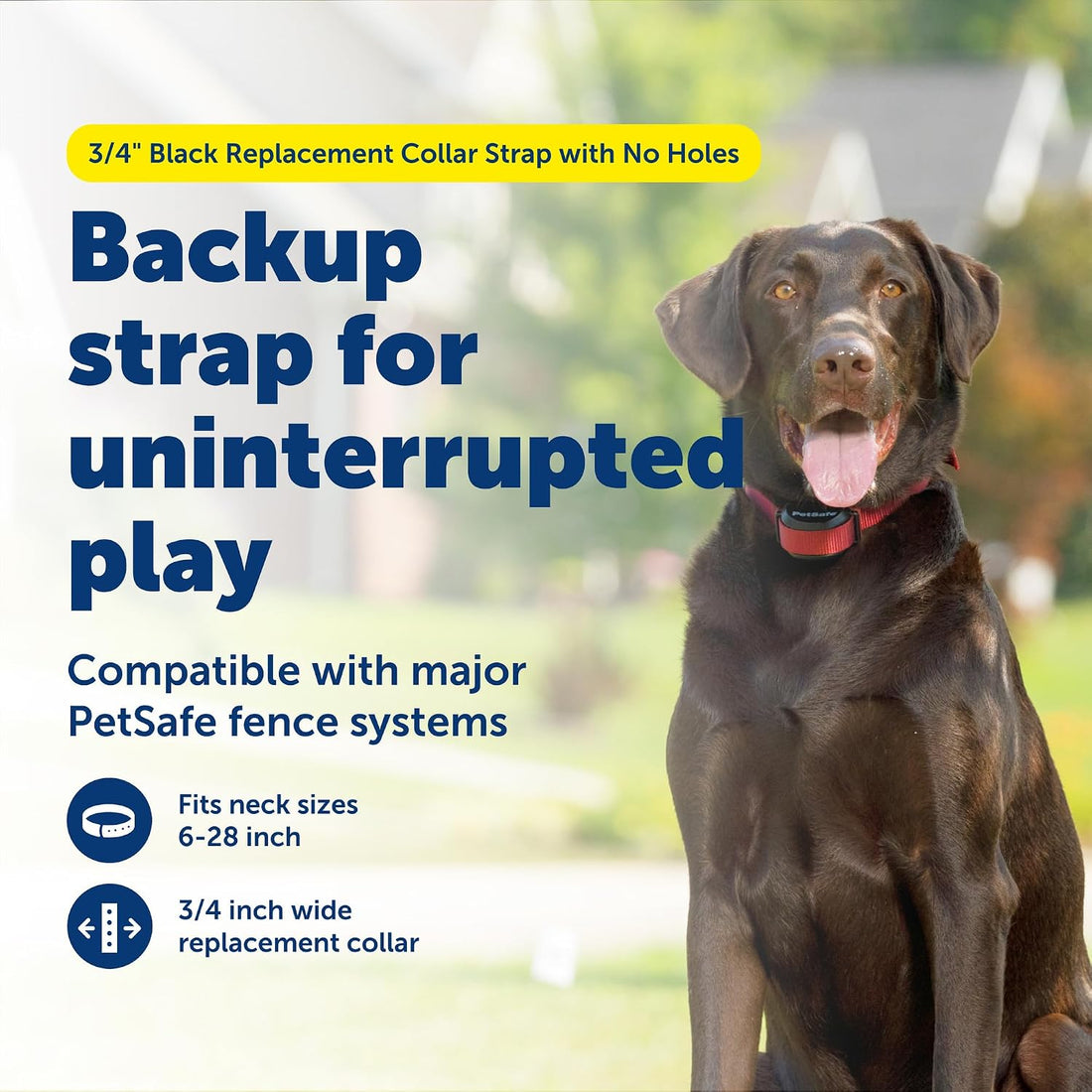 PetSafe 3/4 Inch Replacement Collar Strap, Rust