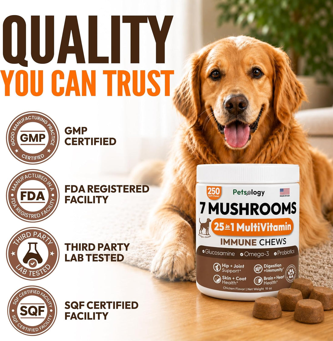 Turkey Tail Mushroom for Dogs - 250 Chews - Lion’s Mane - Shiitake