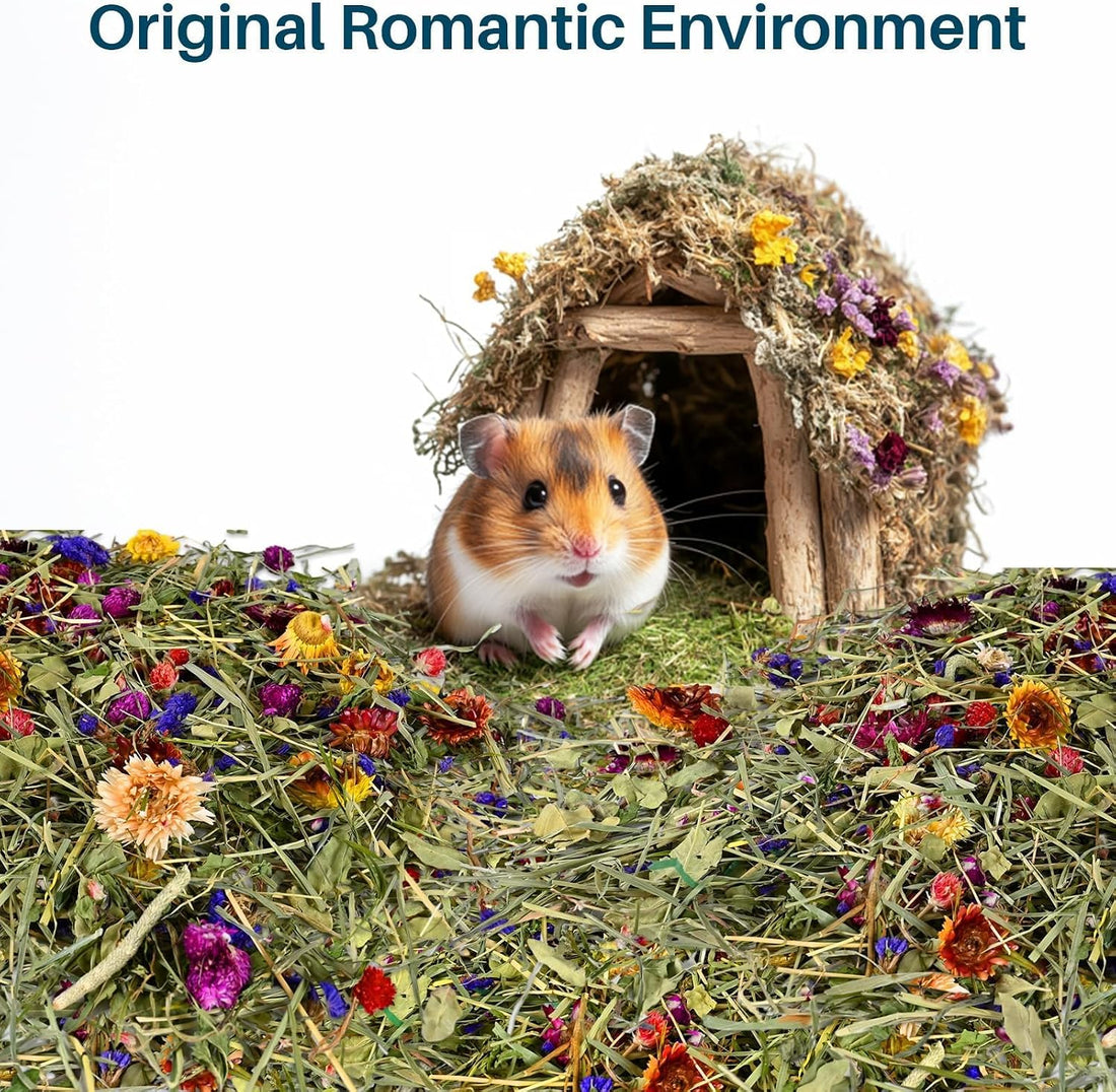 Sukh Hamster Bedding Odor Control
