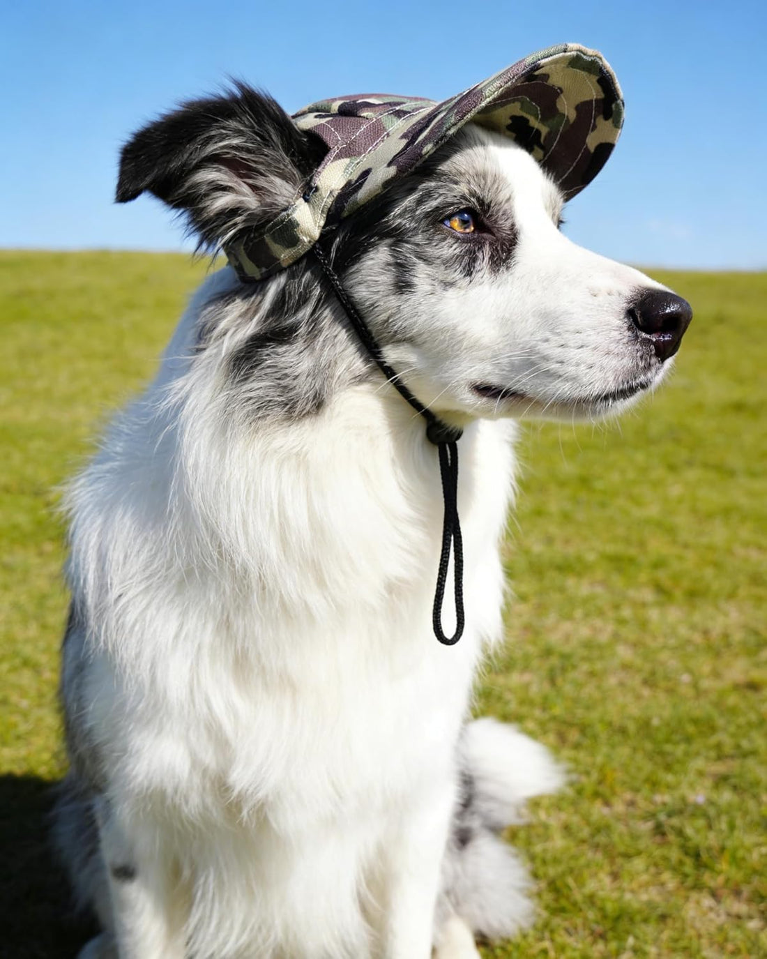 PET SHOW Camouflage Dog Baseball Cap for Extra Small Doggies Cats