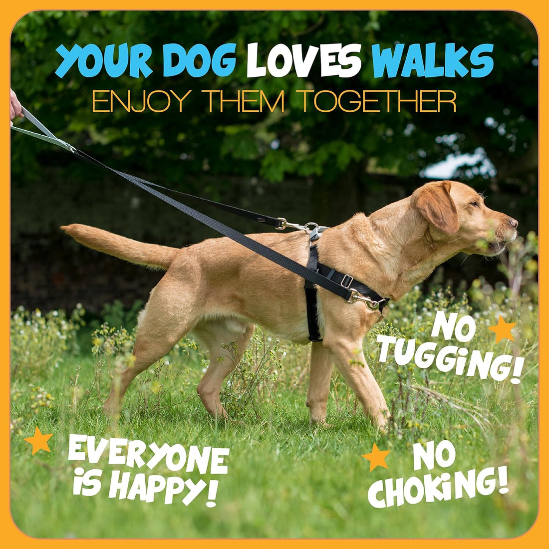 2 Hounds Design Freedom No Pull Dog Harness