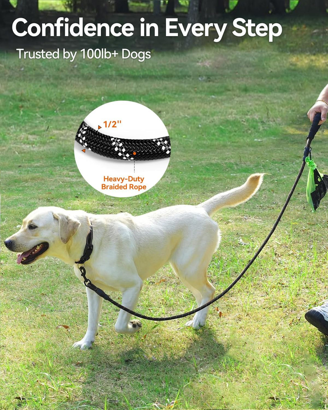 Joytale Rope Dog Leash for Medium Large Dogs, Padded Handle, 6FT