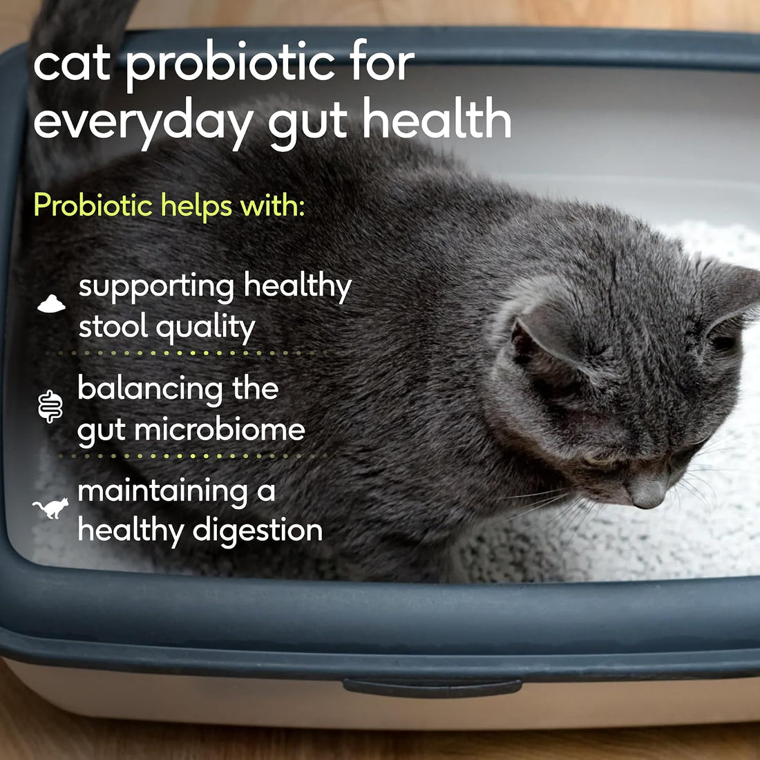 Native Pet Probiotic for Cats - Chicken Flavored Cat Digestive Support