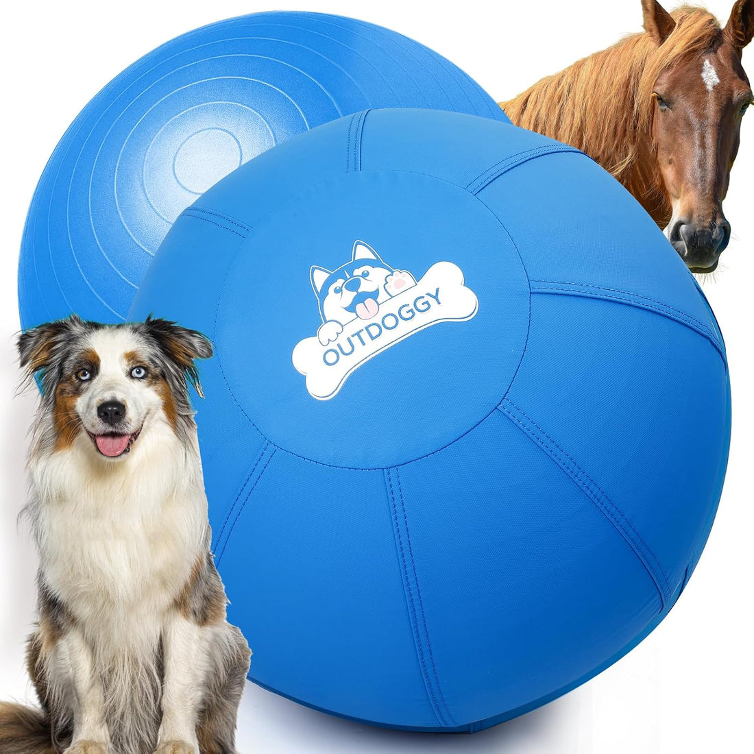 18'' Herding Ball for Dogs, Heavy Duty for Small & Medium Breeds