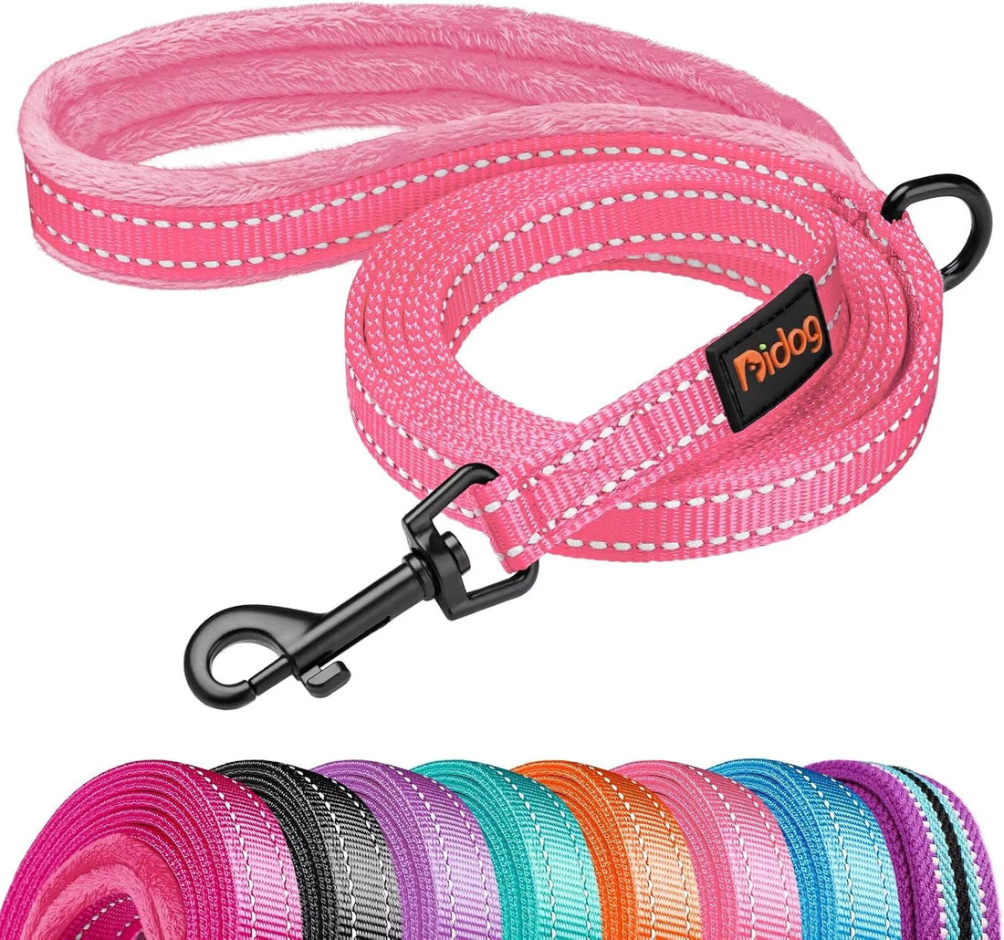 Didog 6FT Reflective Dog Leash for Small Medium Dogs, Slim 5/8" Width