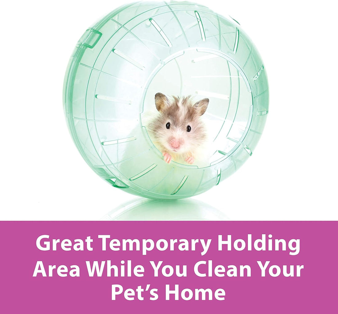 Kaytee 11.5" Clear Run-About Exercise Ball for Hamster & Gerbil Pets