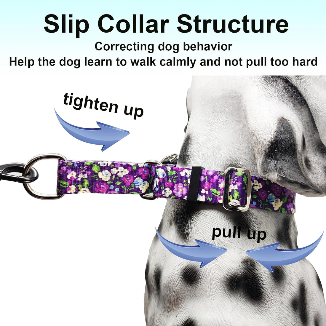 Martingale Collar for Dogs with Buckle Floral No Pull Training Dog
