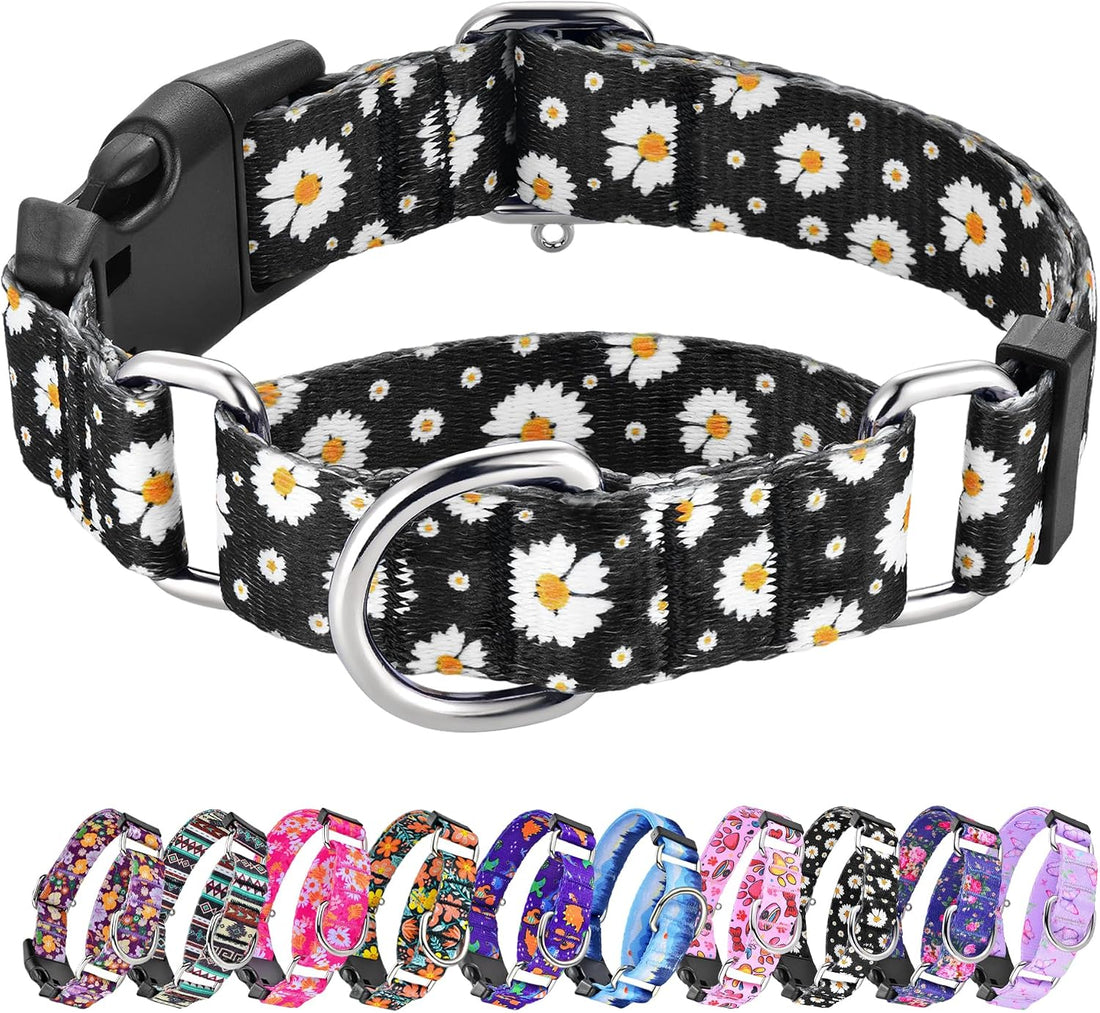 Hikiko Martingale Collar for Dogs with Special Pattern,Adjustable,M