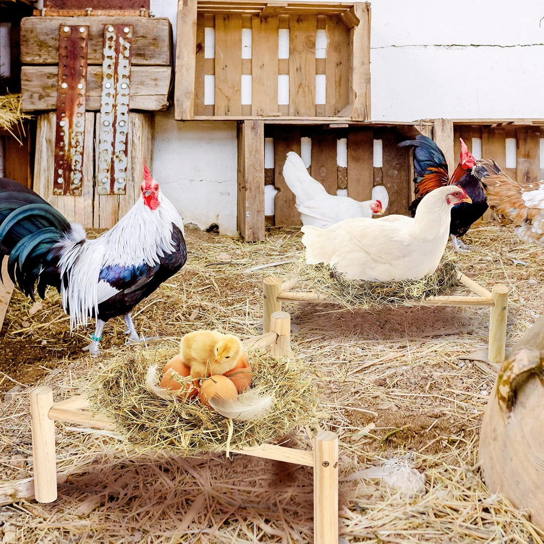 Chicken Perch for Coop & Brooder, Chicken Roosting Bars