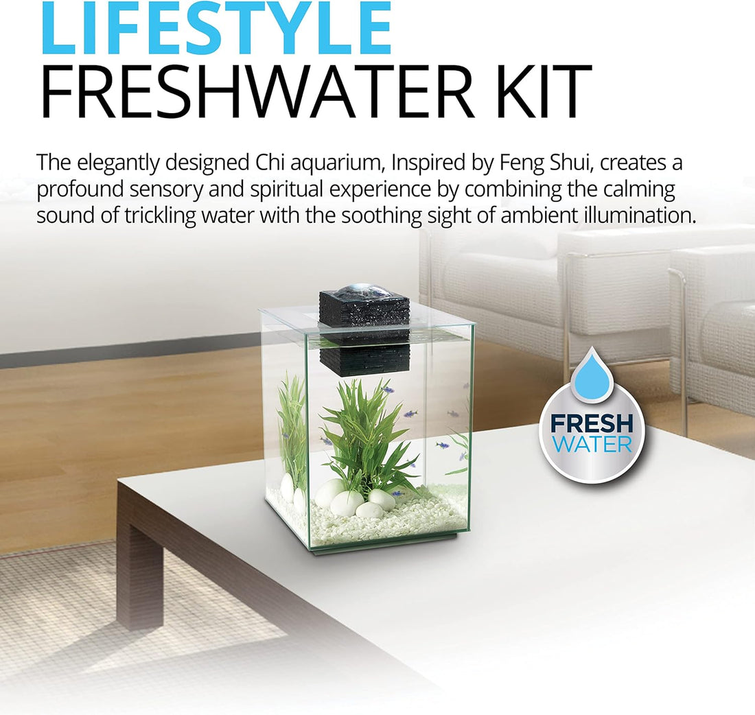 Fluval Chi II Series Aquarium Set, 5-Gallon