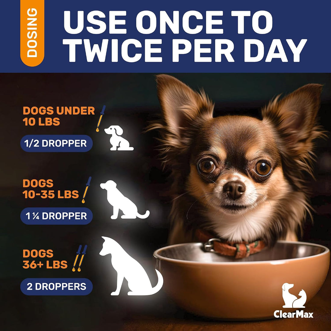 Dog Antibiotics for Infections, Allergies, Coughs