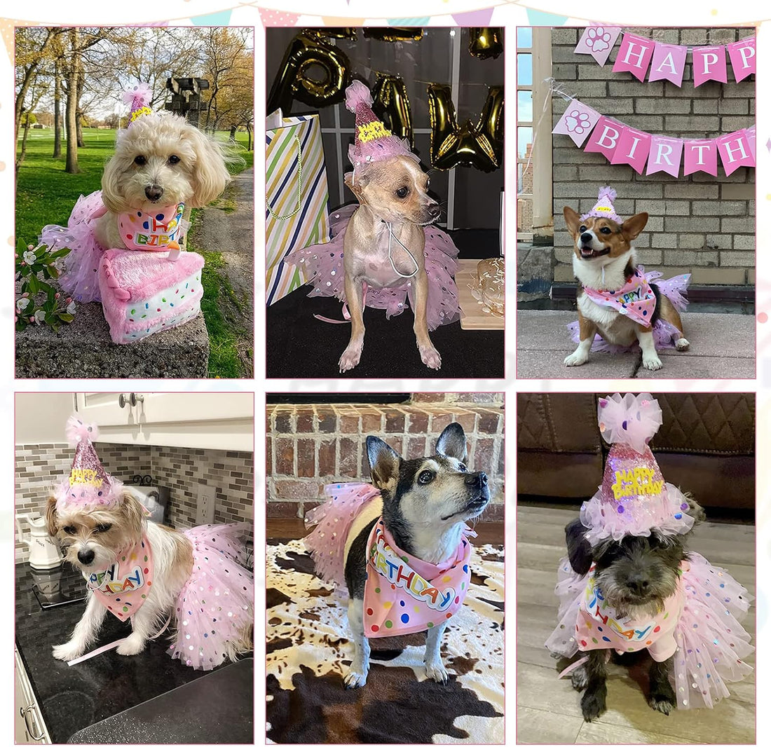 SCENEREAL Dog Birthday Bandana with Hat and Dress Girl Set