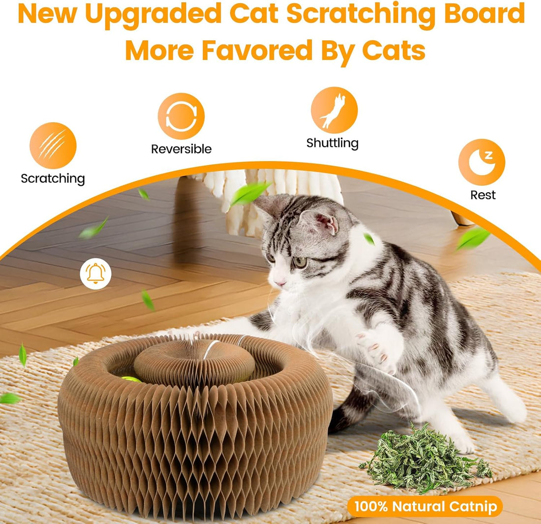 Kitty Kurls Magic Organ Cardboard Cat Scratcher Toy with 2 Balls