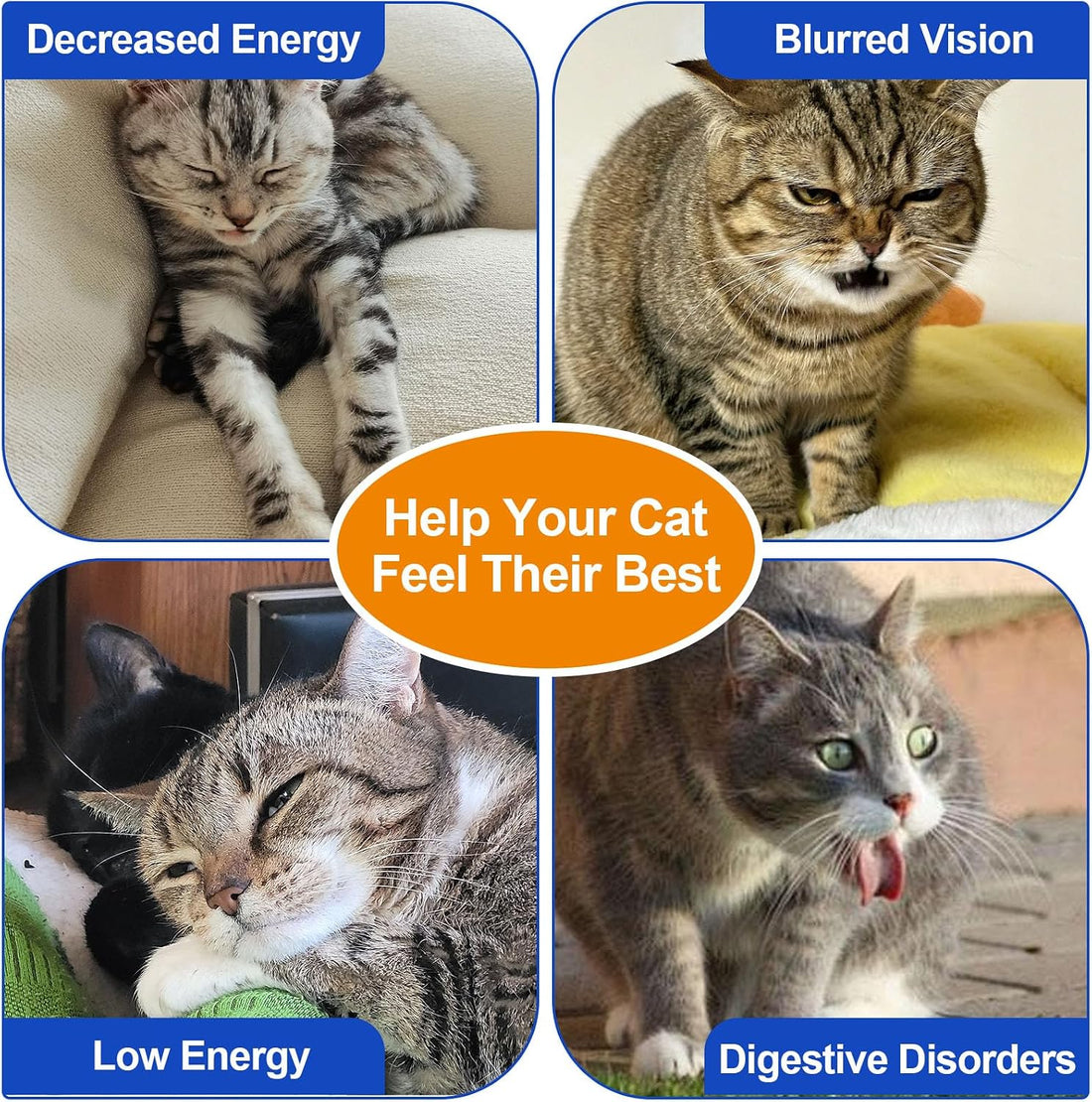 Taurine for Cats – Pure Taurine Powder Supplement for Kittens & Adult