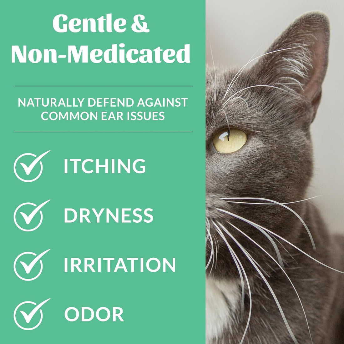 SKOUT'S HONOR Cat Ear Cleaner Solution with Aloe Vera - Alcohol-Free