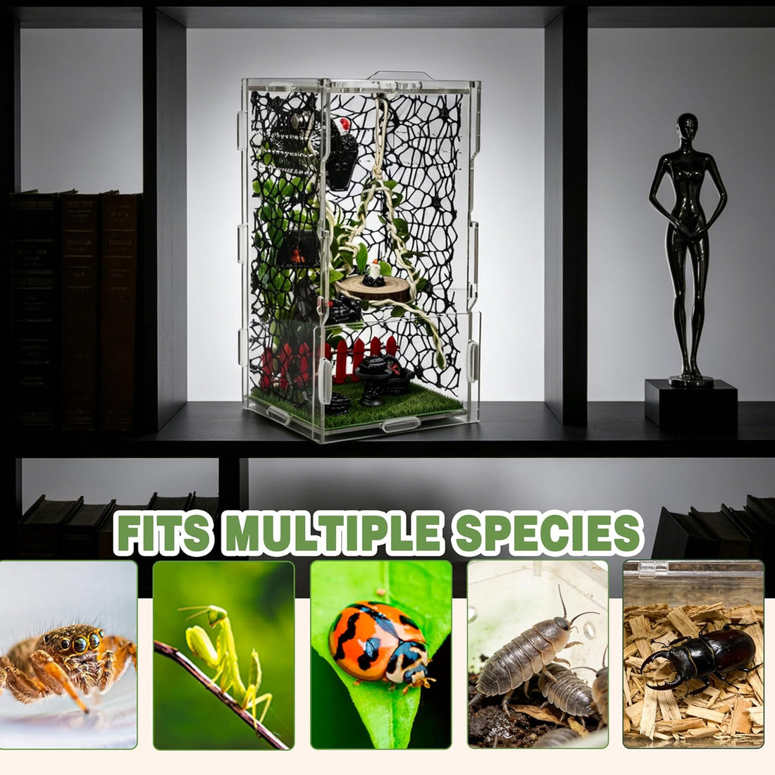 Jumping Spider Enclosure Kit 22pcs Terrarium with Decor