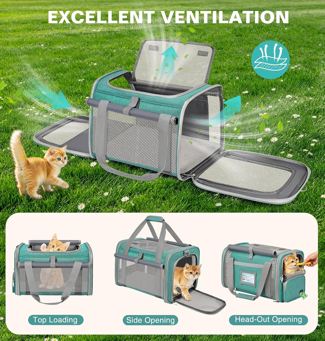 Soft Cat Carrier for Pets Up to 20 Lbs