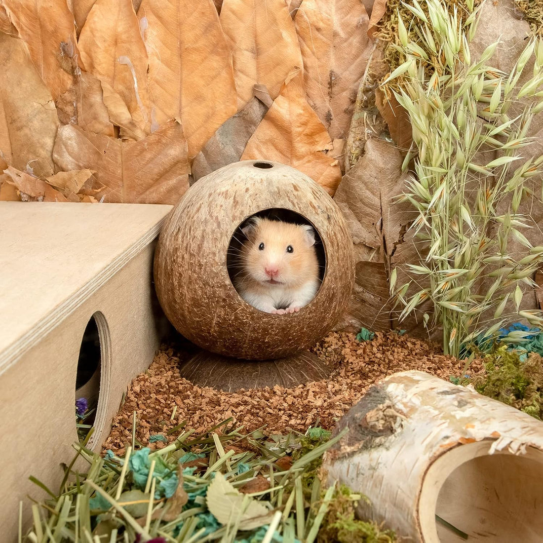 andwe Coconut Hut Hamster House Bed Natural Gerbils Hideout
