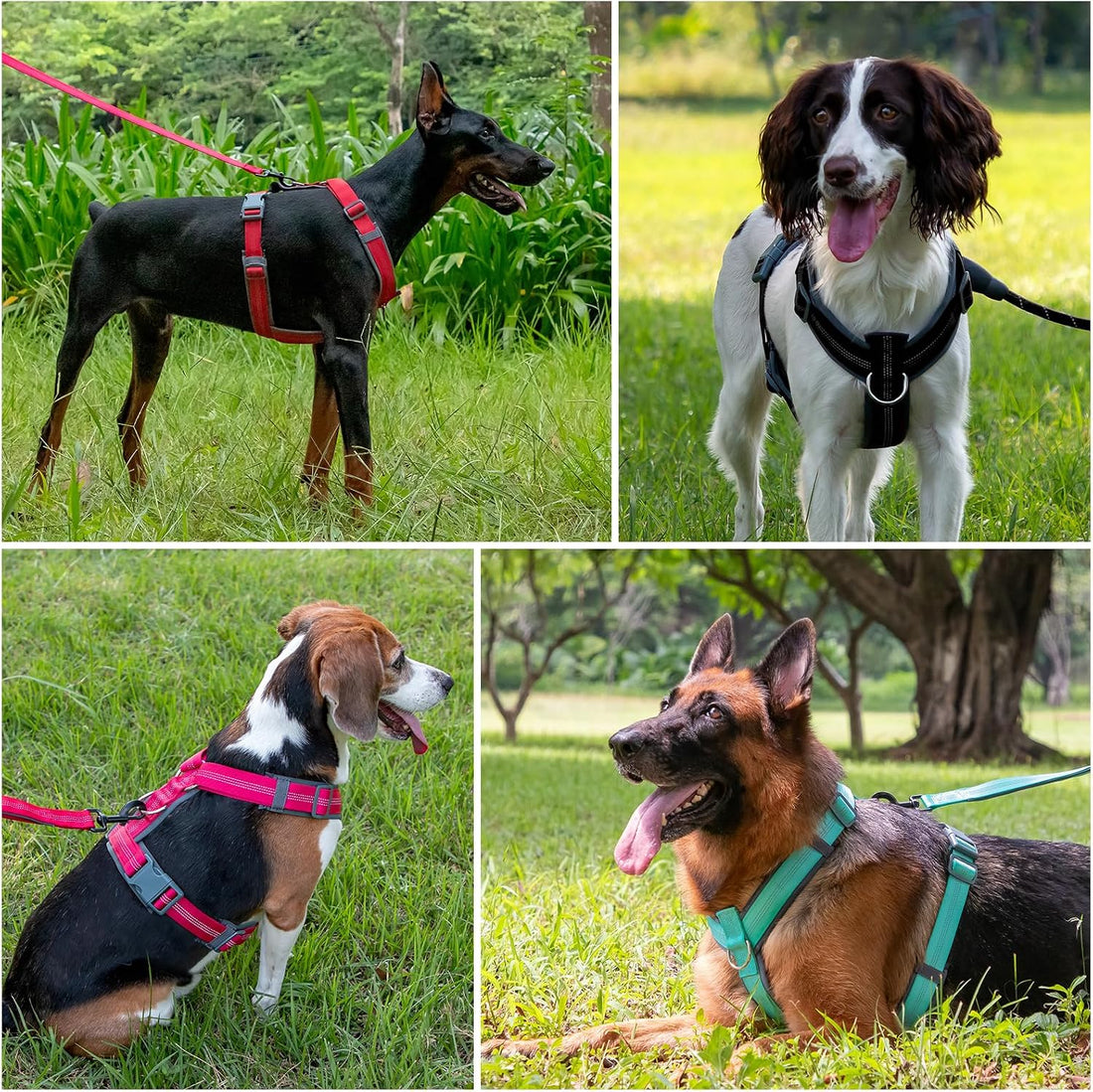 Plutus Pet No Pull Dog Harness