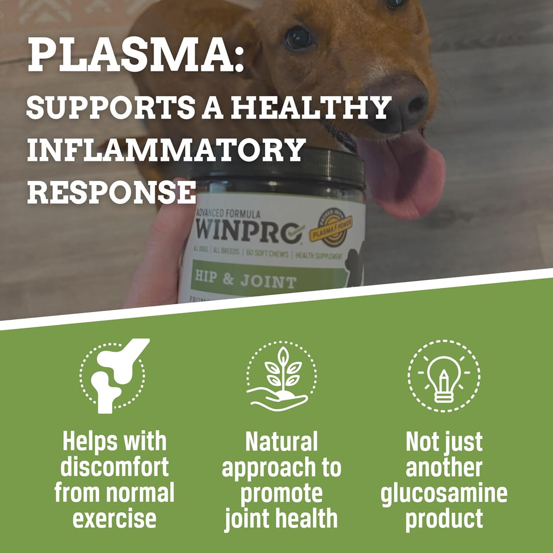 WINPRO Hip & Joint Supplement for Dogs