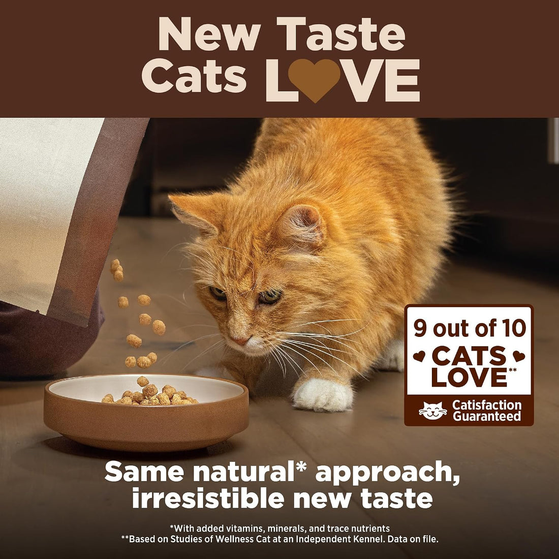 Wellness CORE+ Adult Dry Cat Food for Indoor Cats, Natural