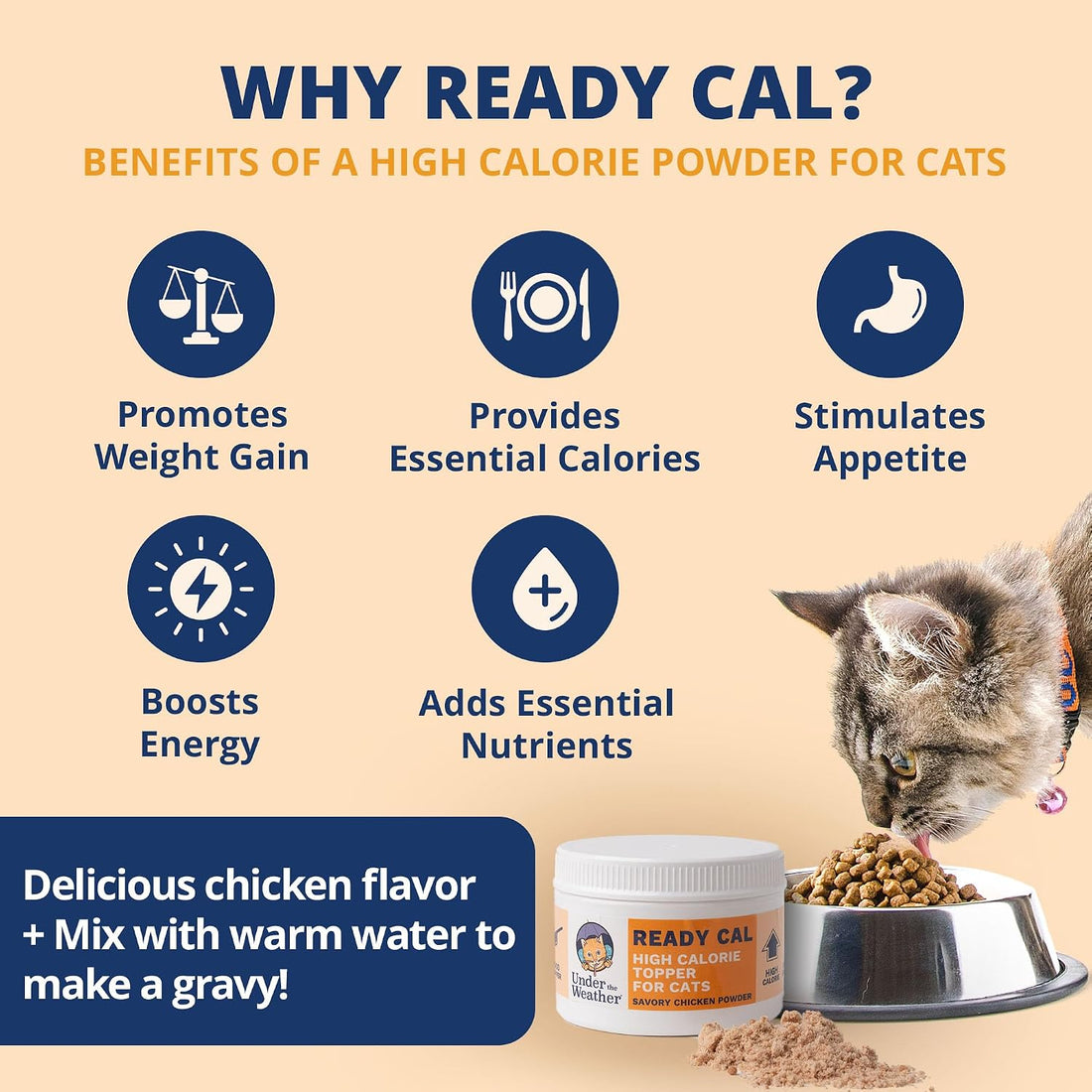 Under the Weather Ready Cal Powder for Cats