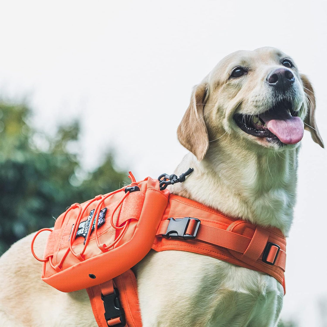 OneTigris Dog Backpack for Medium & Large Dogs