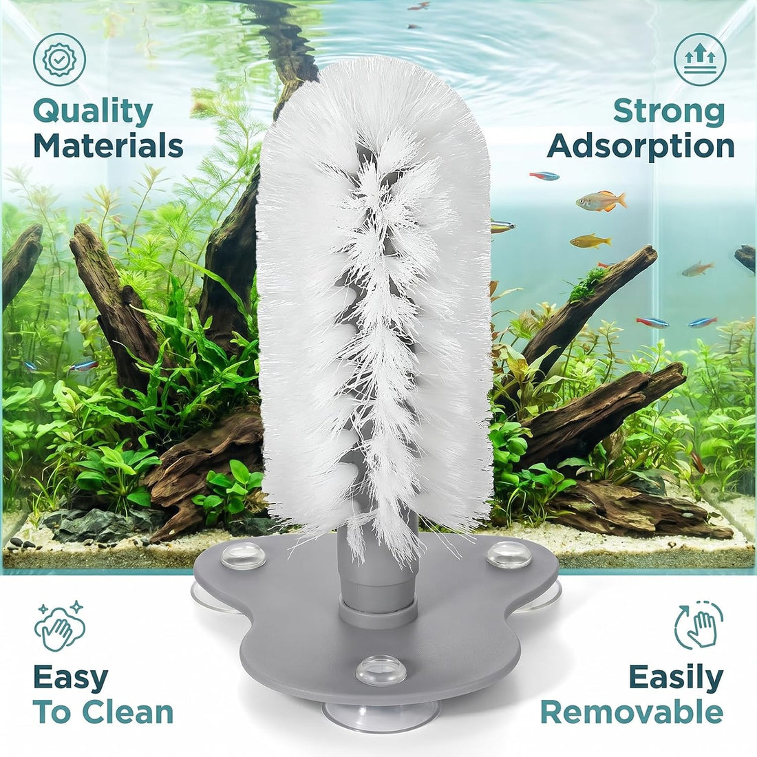 Turtle Brush for Shell Cleaning, Turtle Brush with Suction Cup