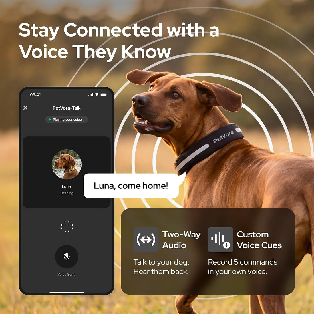 Smart Collar GPS Dog Collar, Real-Time Tracking & Escape Alerts
