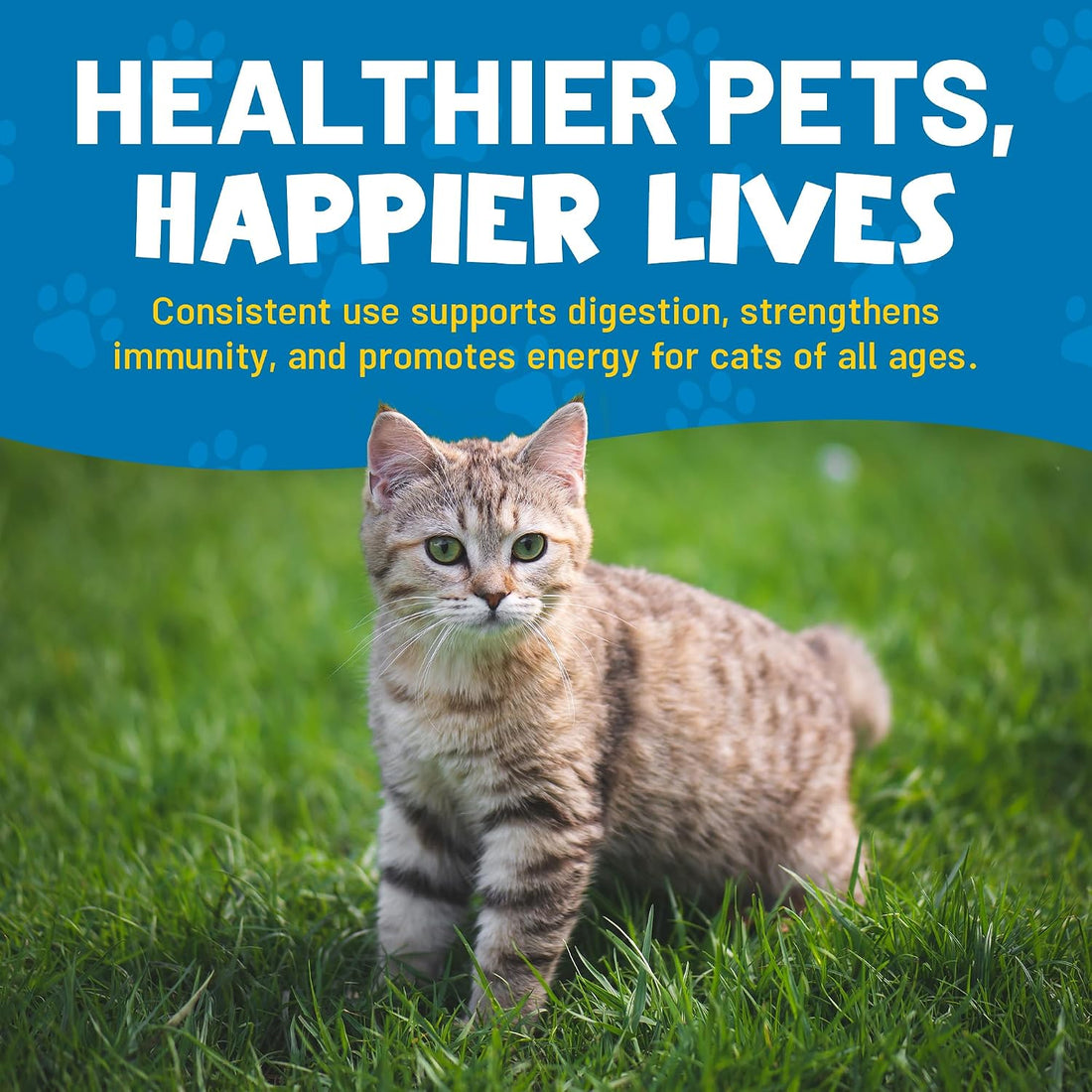 Guardian’s Choice Purrbiotics