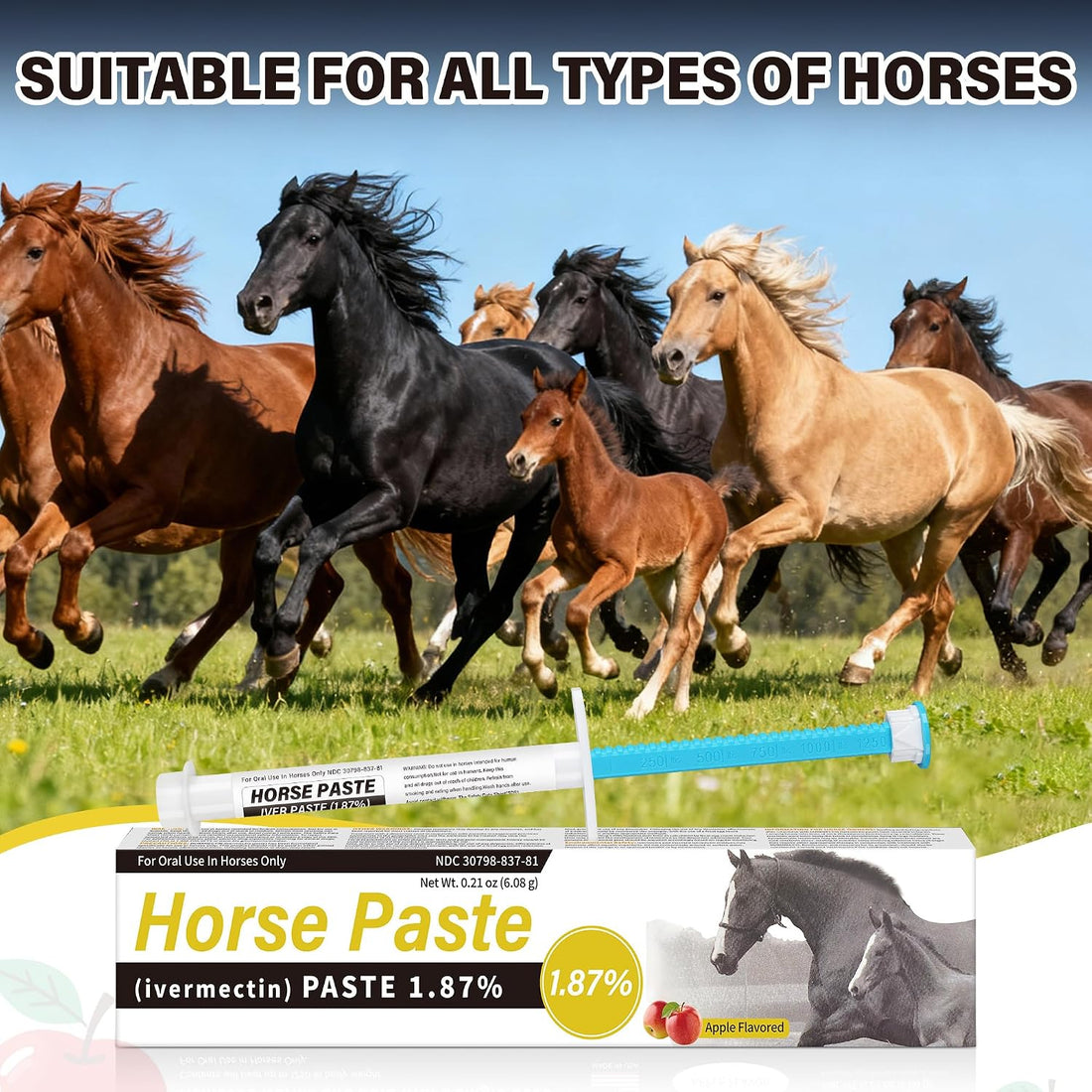 Equine Paste 1.87% – 12 Pack (6.08g) Apple Flavored Oral for Horses